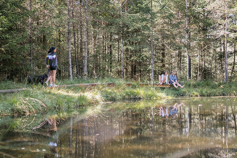 Biotopo Rasner Möser